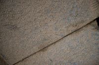 IMG_1787-1.jpg