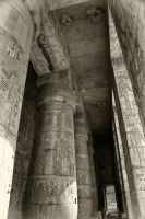 IMG_2101-2.jpg