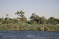 IMG_2202-1.jpg