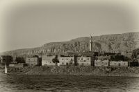 IMG_2239-2.jpg