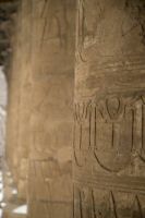 IMG_2366-1.jpg