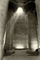 IMG_2433-2.jpg