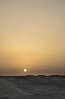 IMG_2844-1.jpg