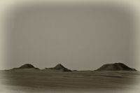 IMG_2867-2.jpg