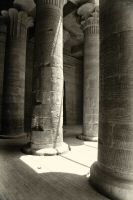 IMG_3492-2.jpg
