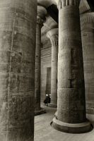 IMG_3500-2.jpg