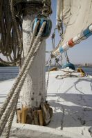 IMG_3567-1.jpg