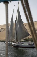 IMG_3583-1.jpg