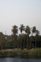 IMG_3802-2.jpg
