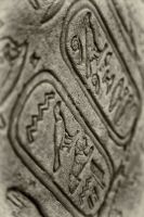 IMG_3944-2.jpg
