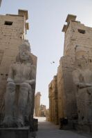 IMG_4109-1.jpg