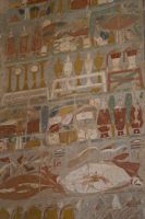 IMG_4418-1.jpg