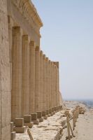 IMG_4432-1.jpg