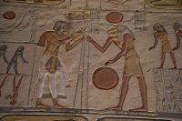 IMG_4563-1.jpg