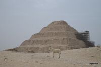 IMG_1618-1.jpg