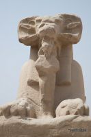 IMG_1671-1.jpg