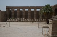 IMG_1685-1.jpg
