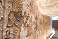 IMG_2982-1.jpg