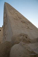 IMG_4106-1.jpg