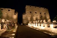 IMG_4220-1.jpg