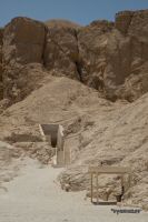 IMG_4470-1.jpg