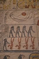 IMG_4564-1.jpg
