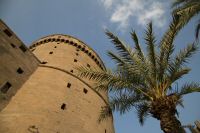 _MG_7708-1.jpg