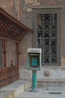 _MG_7785-1.jpg