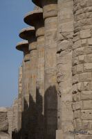 _MG_7868-1.jpg