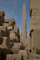_MG_7890-1.jpg