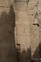 _MG_7927-1.jpg