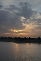 _MG_8257-1.jpg