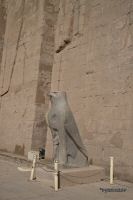 _MG_8296-1.jpg