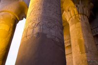 _MG_8433-1.jpg