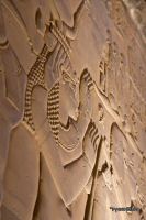 _MG_8444-1.jpg