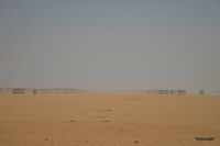 _MG_8530-1.jpg