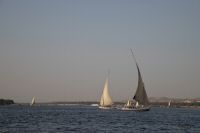 _MG_8542-1.jpg