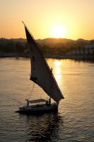_MG_8744-1.jpg