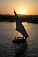 _MG_8745-1.jpg