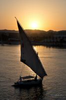 _MG_8745-2.jpg