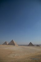_MG_8811-1.jpg