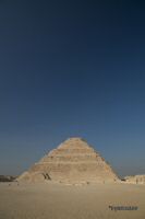 _MG_8869-1.jpg