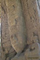 Image07.jpg