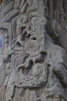 Image11.jpg