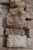 Image11.jpg