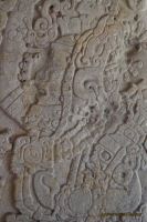 Image12.jpg