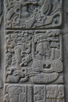 Image17.jpg