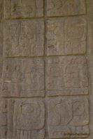 Image20.jpg
