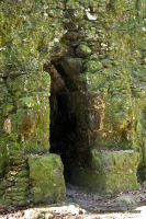 Image25.jpg