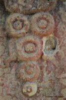 Image35.jpg